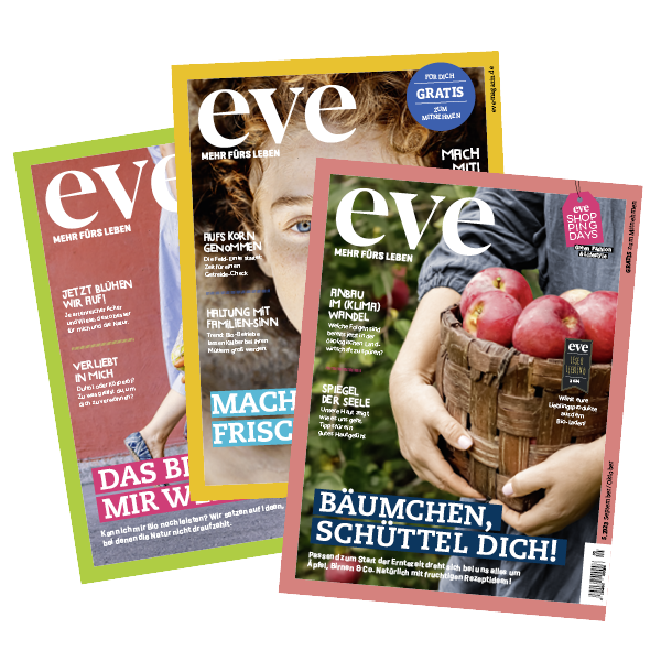 infos_eve-heftarchiv-5-23