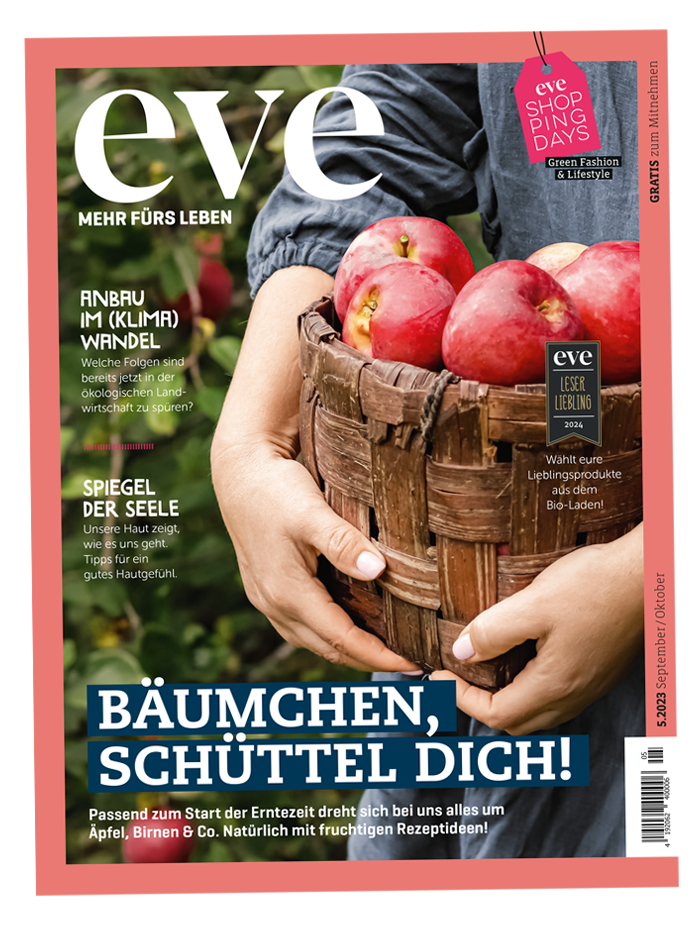 Frau Korb Ernte Äpfel
