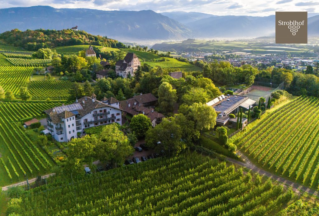 Luftaufnahme eines Weinbergs mit Gebäuden und Bäumen, im Hintergrund Berge und ein Tal, rechts oben das Logo 'Stroblhof'.